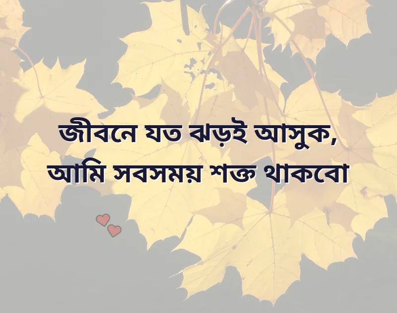 বেকার জীবনের স্ট্যাটাস