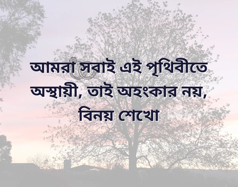 সুন্দর একটি ছবি