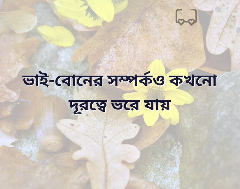 দারুণ একটি ছবি