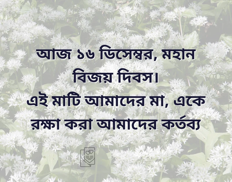 শেয়ার করার মতো ছবি