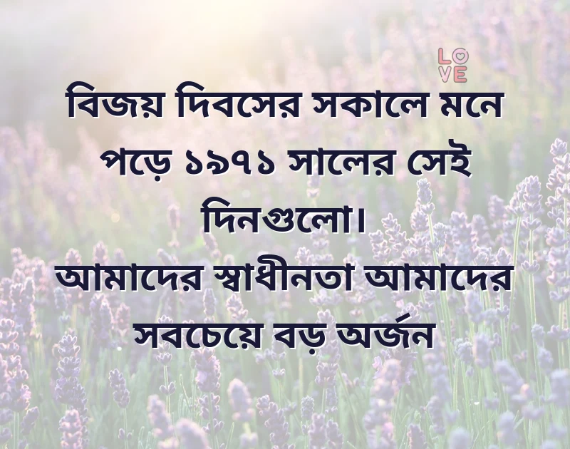 বিজয় দিবস নিয়ে উক্তি