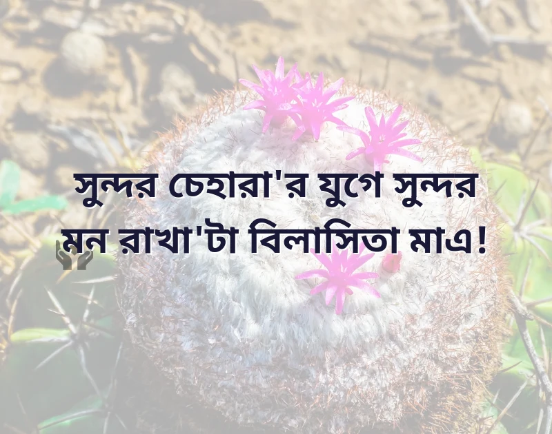 শেয়ার করার মতো ছবি