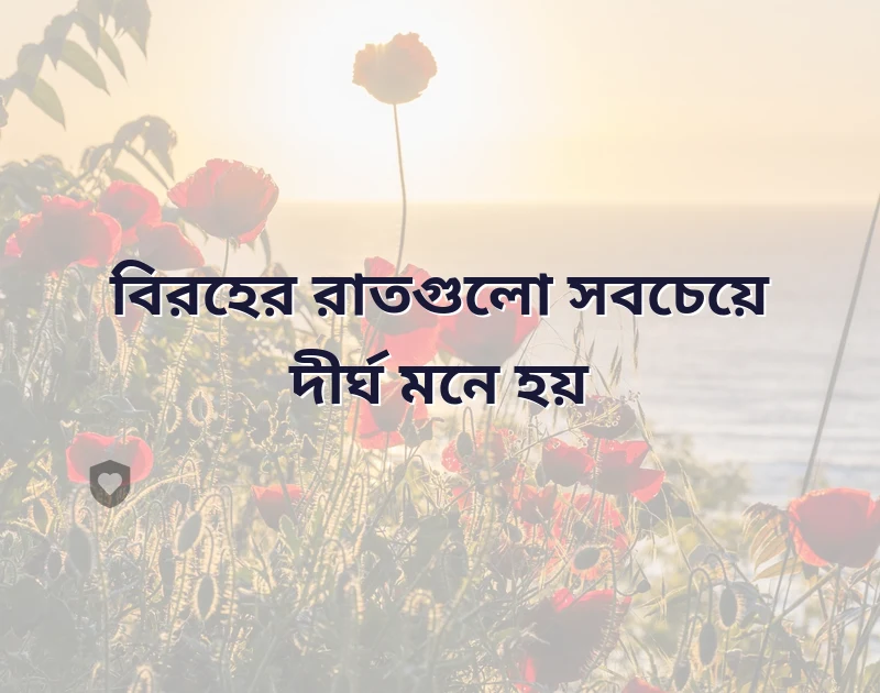 বিরহের কিছু কষ্টের কথা