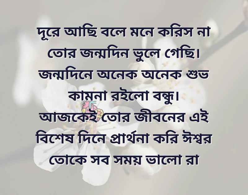 birthday wish bangla for friend