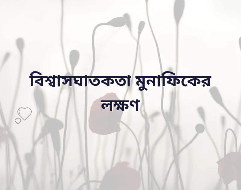 বিশ্বাস ঘাতক নিয়ে ইসলামিক উক্তি