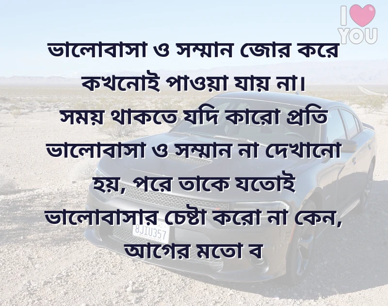 সুন্দর একটি ছবি