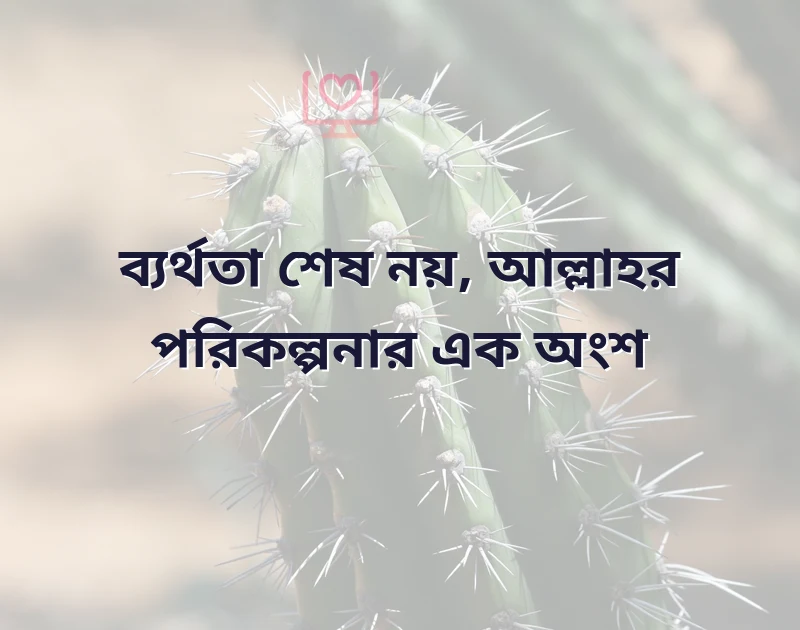 ব্যর্থতা নিয়ে ইসলামিক উক্তি