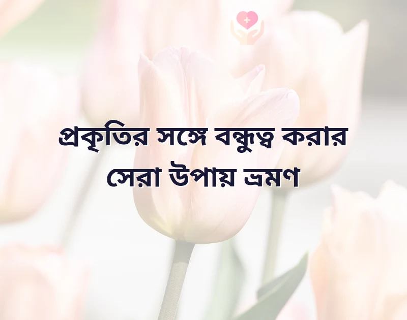 সুন্দর একটি ছবি