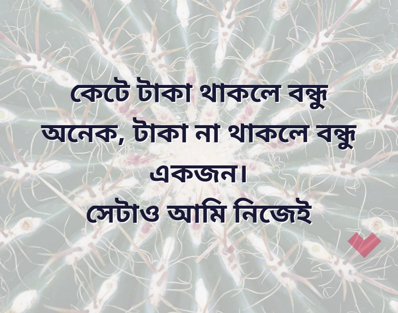 দারুণ একটি ছবি