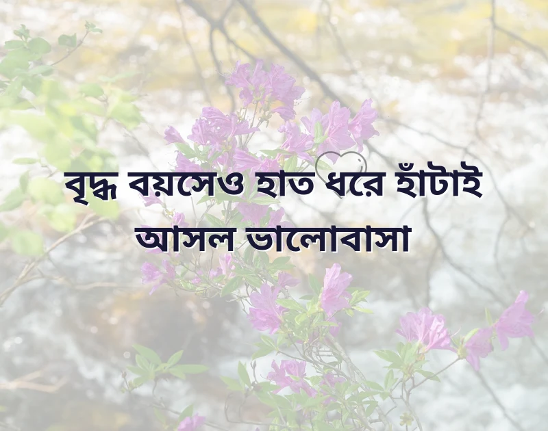 পছন্দের একটি ছবি