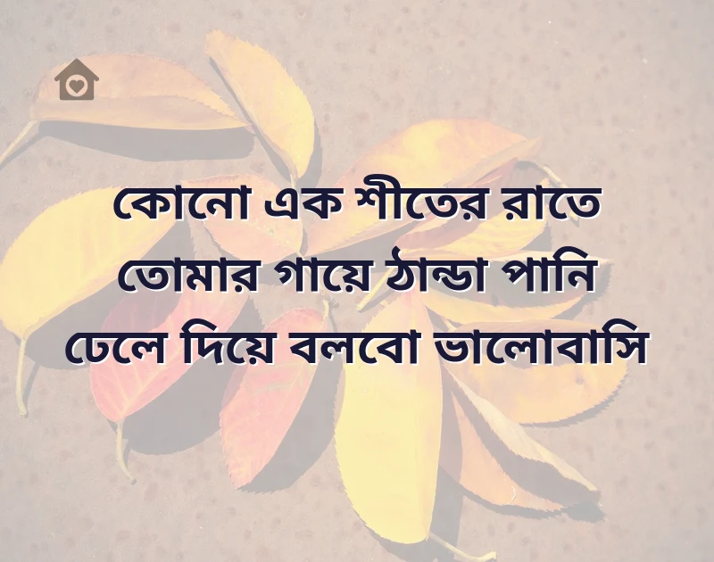 পছন্দের একটি ছবি