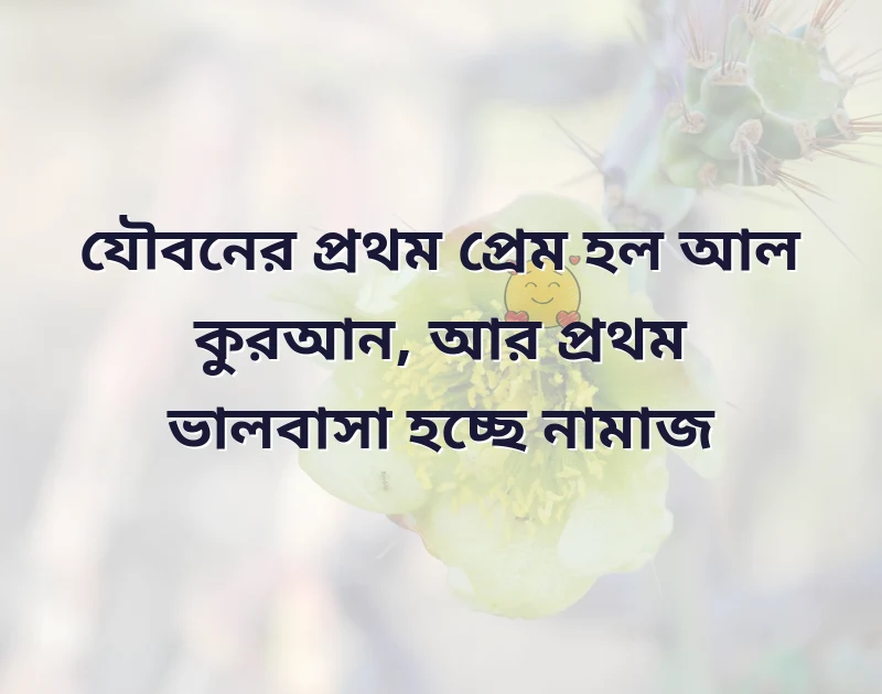 দারুণ একটি ছবি