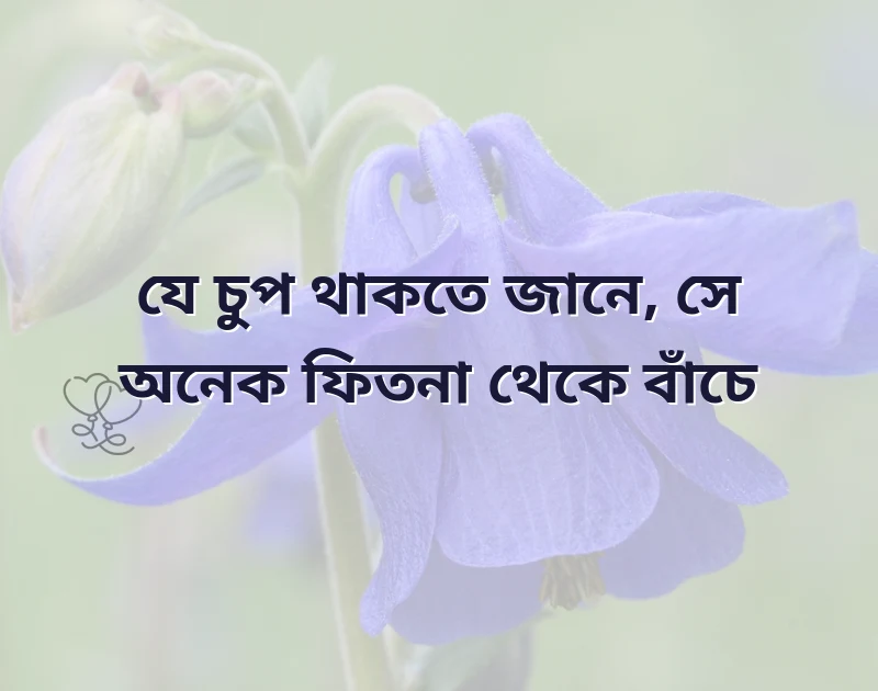 সুন্দর একটি ছবি