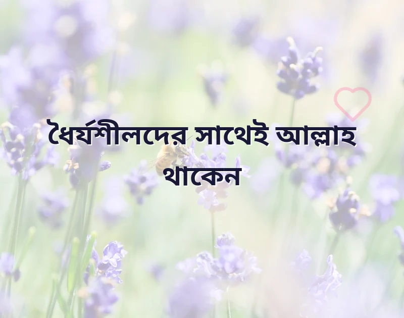 শেয়ার করার মতো ছবি