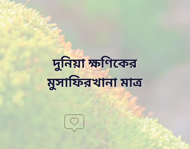দুনিয়া নিয়ে ইসলামিক উক্তি
