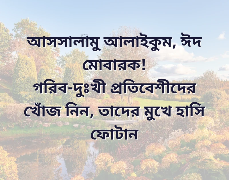 মন ছুঁয়ে যাওয়া ছবি