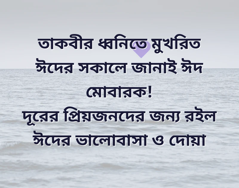শেয়ার করার মতো ছবি