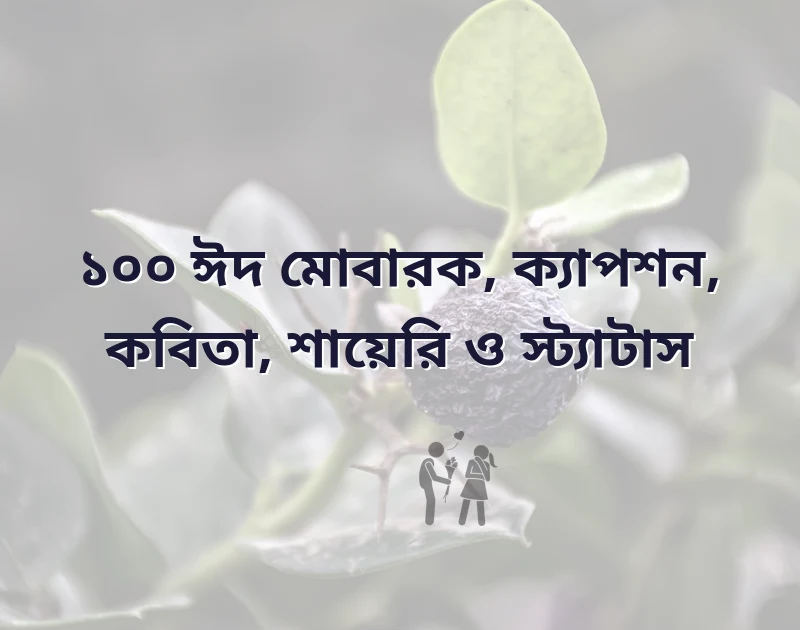 ঈদ মোবারক