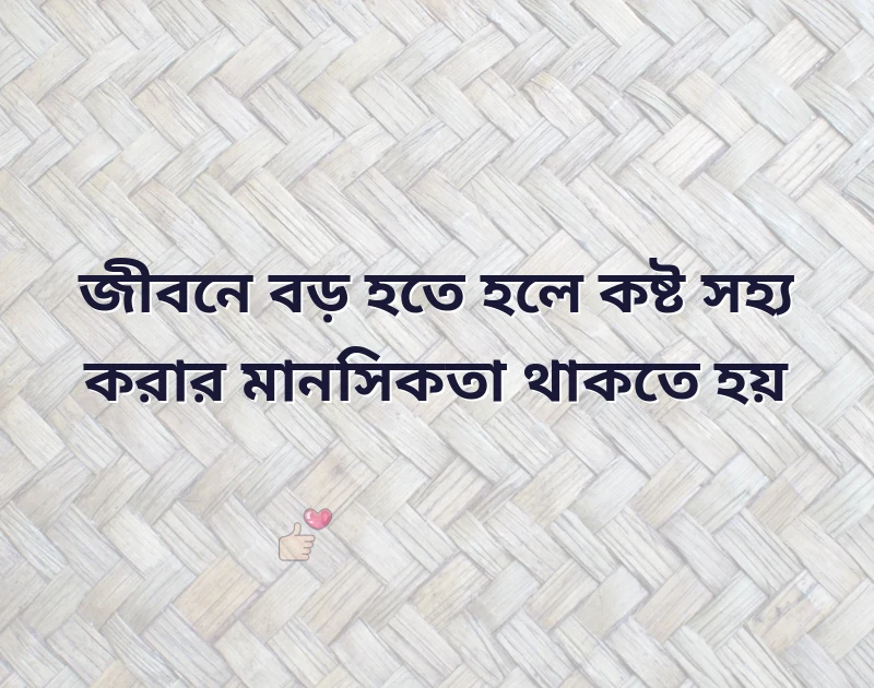 সুন্দর একটি ছবি