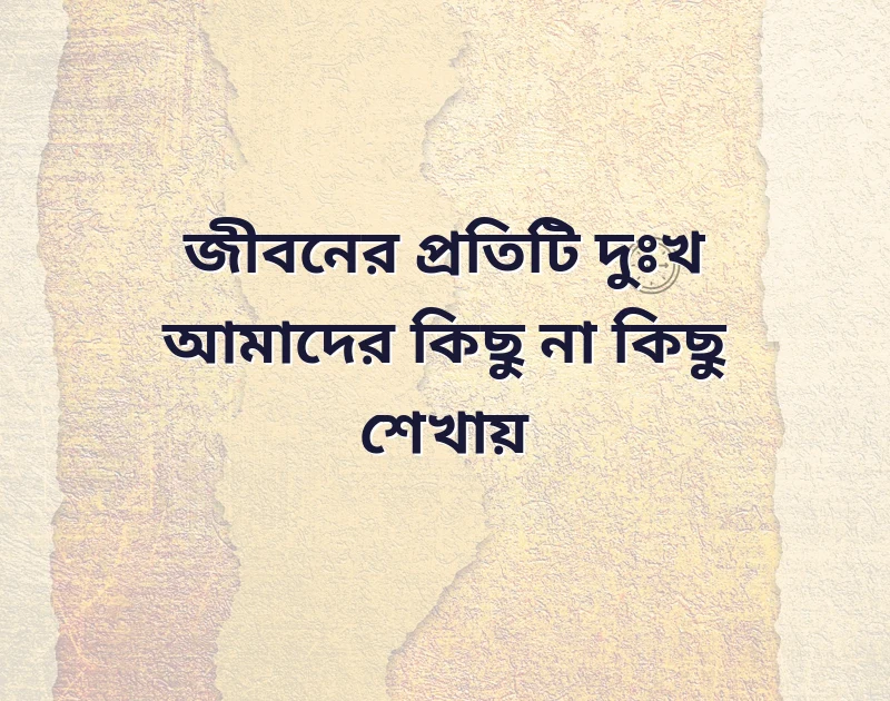 দারুণ একটি ছবি