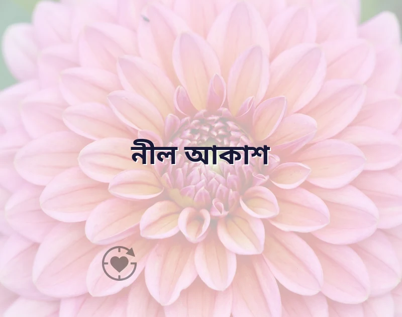 পছন্দের একটি ছবি