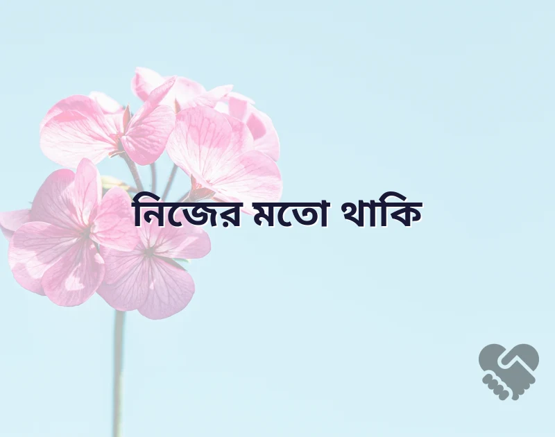 আকর্ষণীয় একটি ছবি