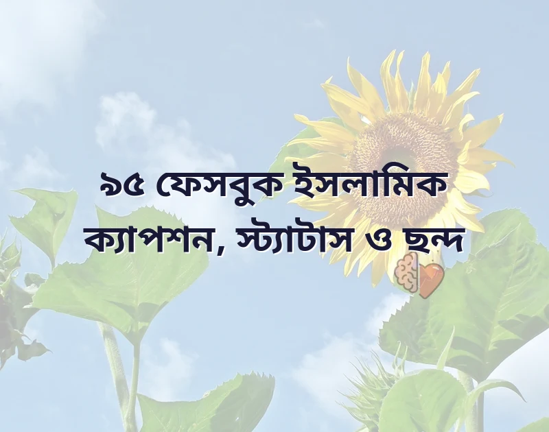 ফেসবুক ইসলামিক ক্যাপশন