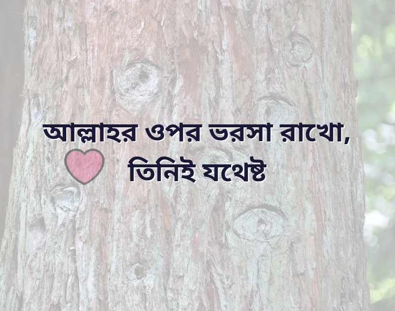 ফেসবুক স্ট্যাটাস ক্যাপশন ইসলামিক