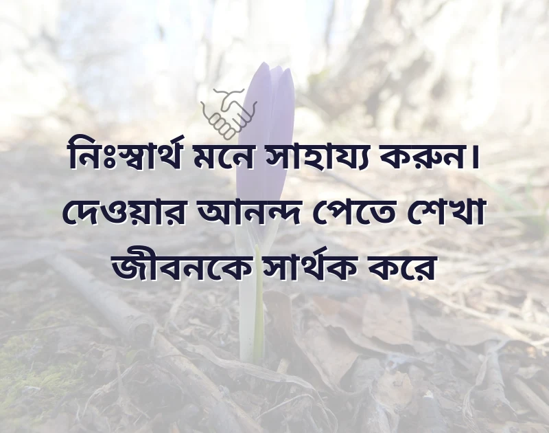fb status caption