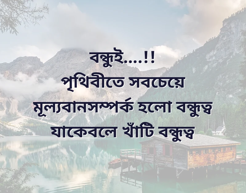 সুন্দর একটি ছবি