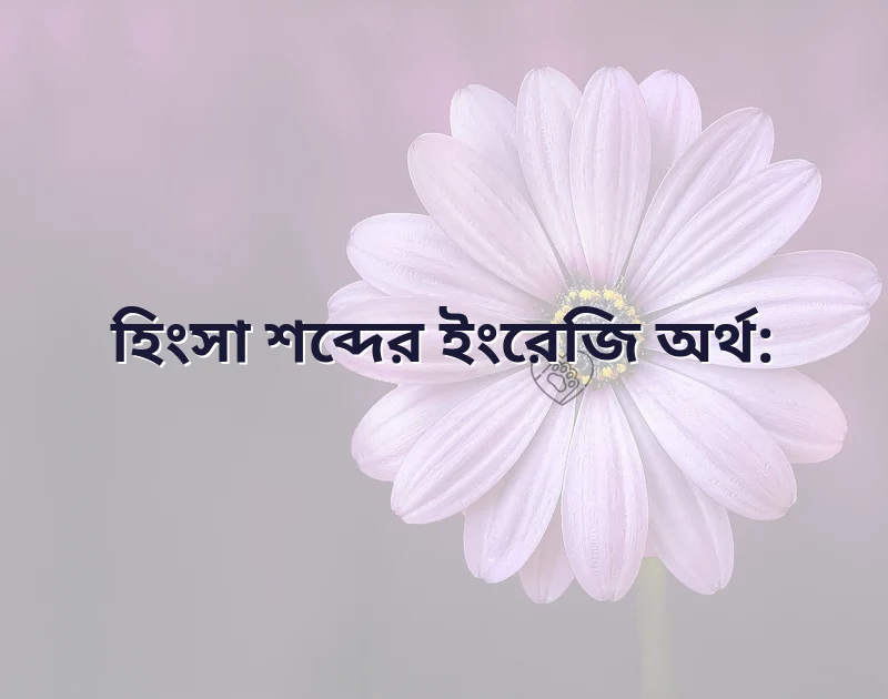 সুন্দর একটি ছবি