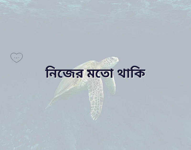 imo stylish bio text bangla