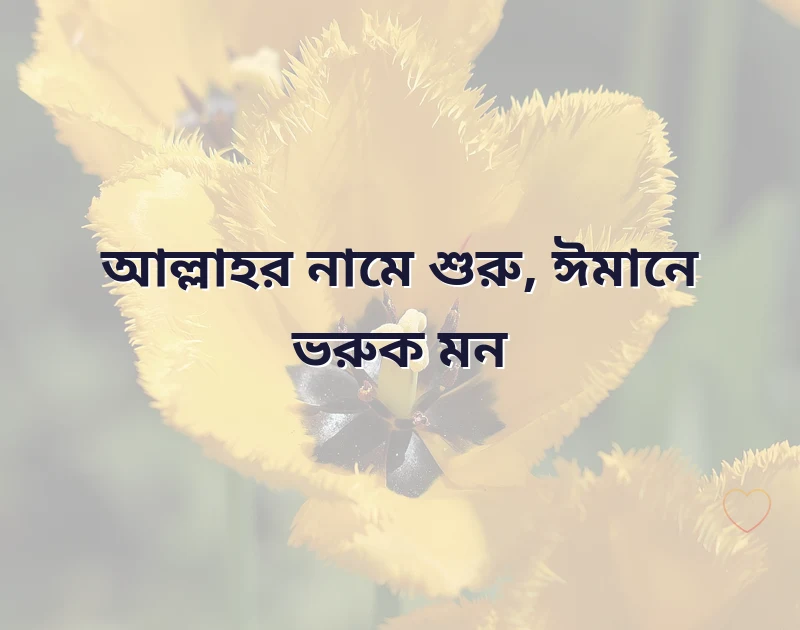 পছন্দের একটি ছবি