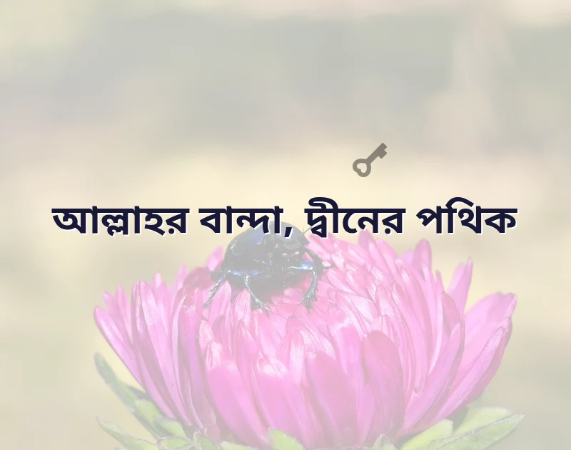 মন ছুঁয়ে যাওয়া ছবি