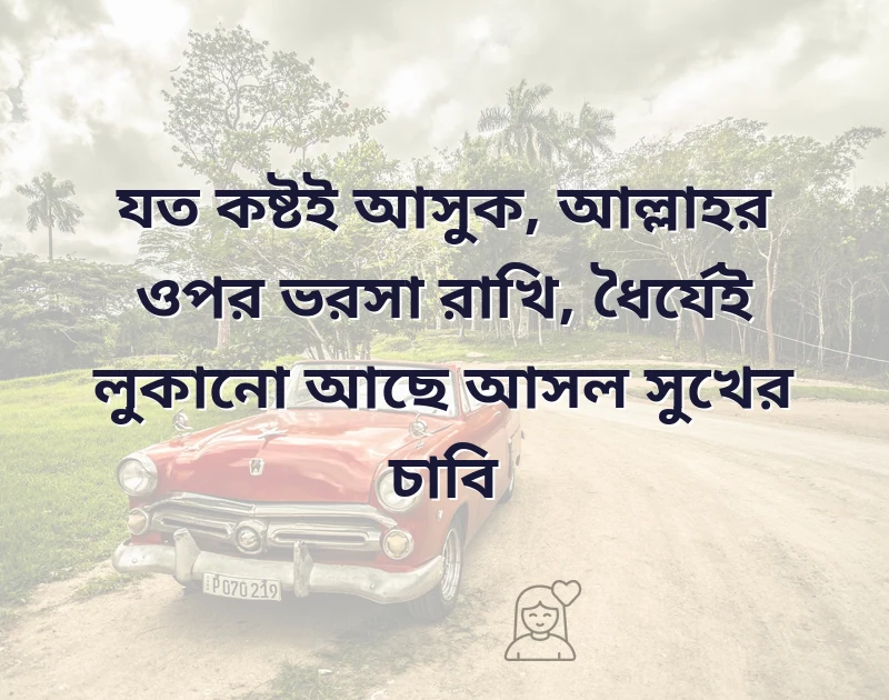 শেয়ার করার মতো ছবি