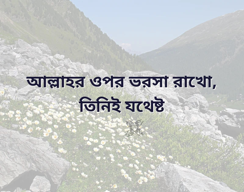 সুন্দর একটি ছবি
