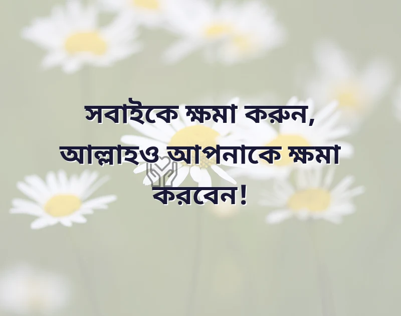 islamic motivational quotes bangla