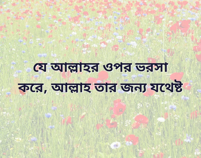 সুন্দর একটি ছবি