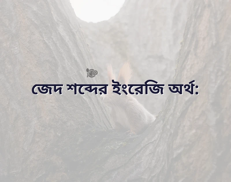 জেদ meaning in english