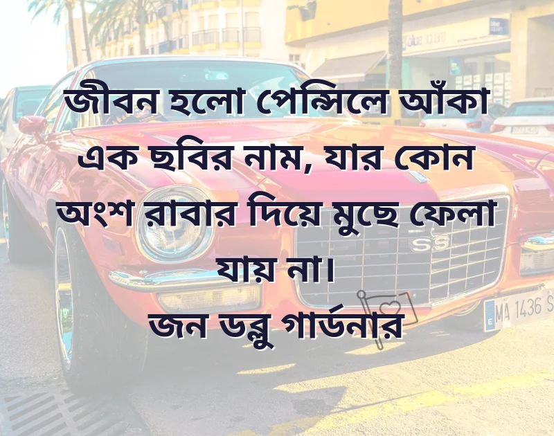 মন ছুঁয়ে যাওয়া ছবি