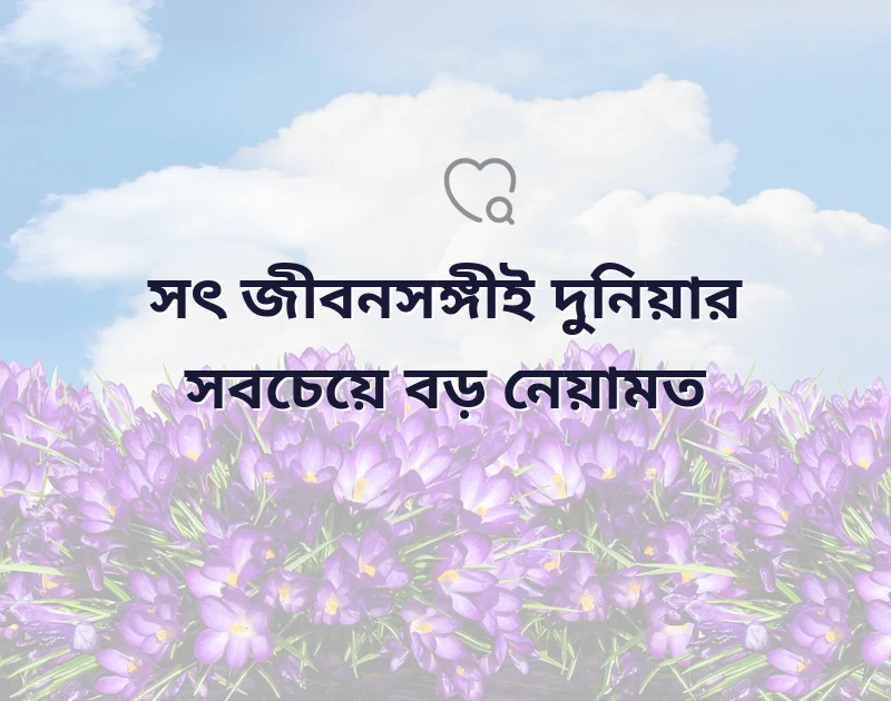 মন ছুঁয়ে যাওয়া ছবি
