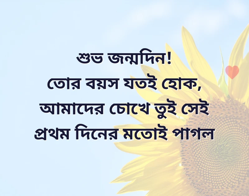 জন্মদিনের শুভেচ্ছা বন্ধু