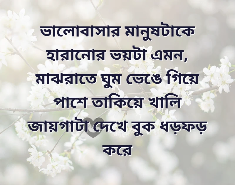 জোৎস্না রাতের প্রেমের কবিতা