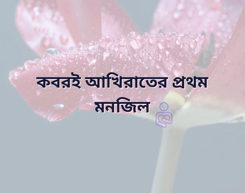 কবর নিয়ে ইসলামিক উক্তি