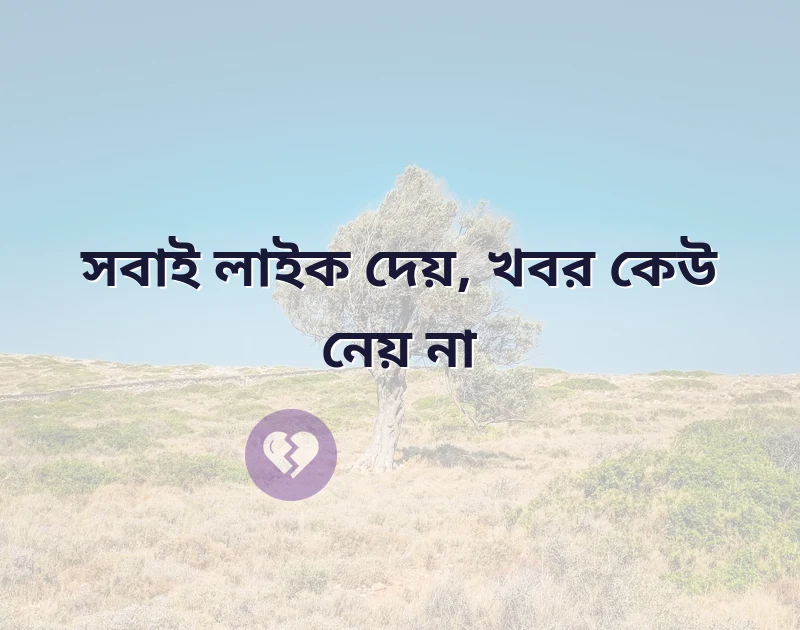 মন ছুঁয়ে যাওয়া ছবি