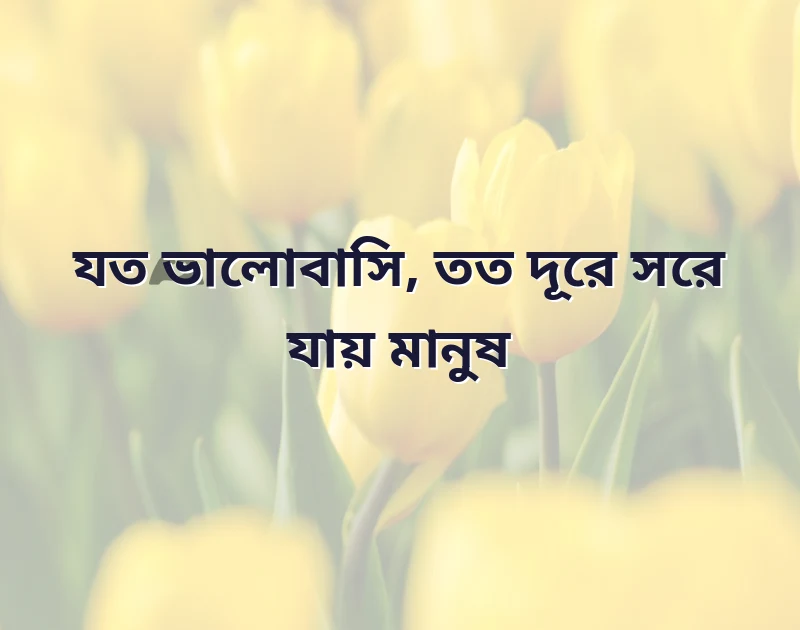 মন ছুঁয়ে যাওয়া ছবি