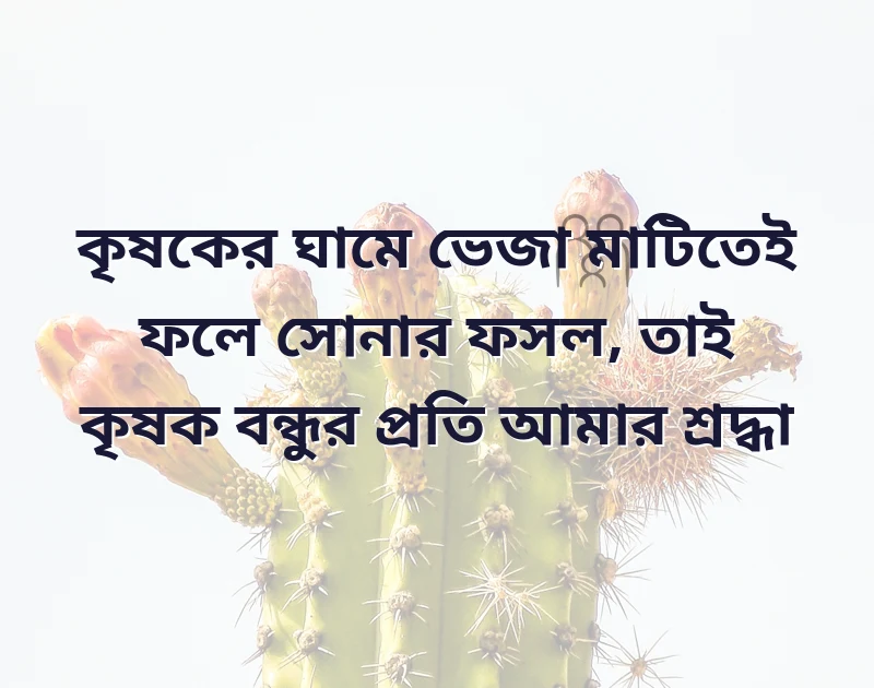 শেয়ার করার মতো ছবি