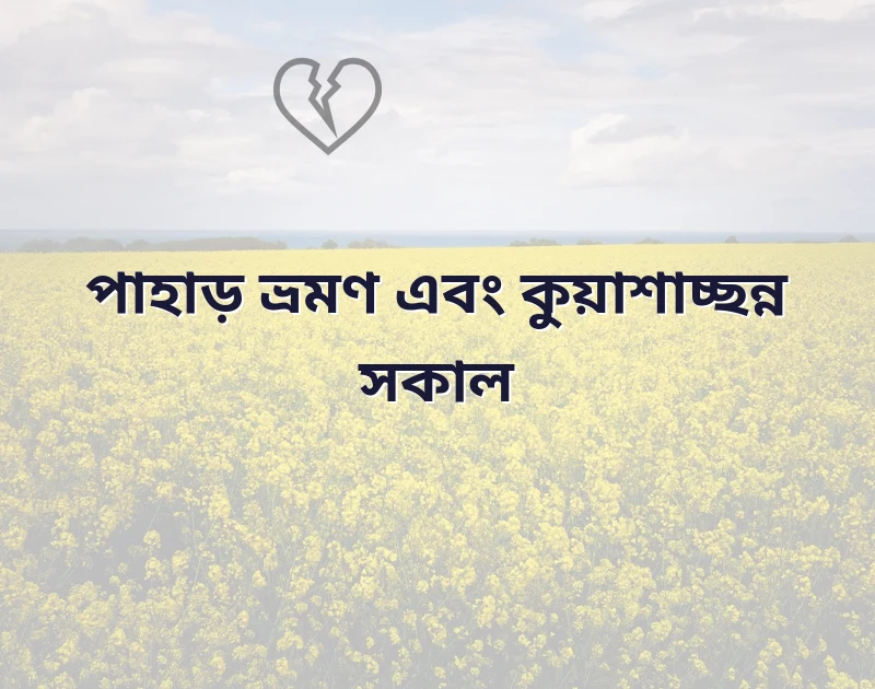 দারুণ একটি ছবি