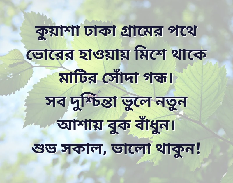 দারুণ একটি ছবি
