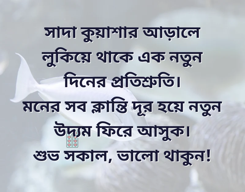 কুয়াশায় ঘেরা সকাল নিয়ে ক্যাপশন
